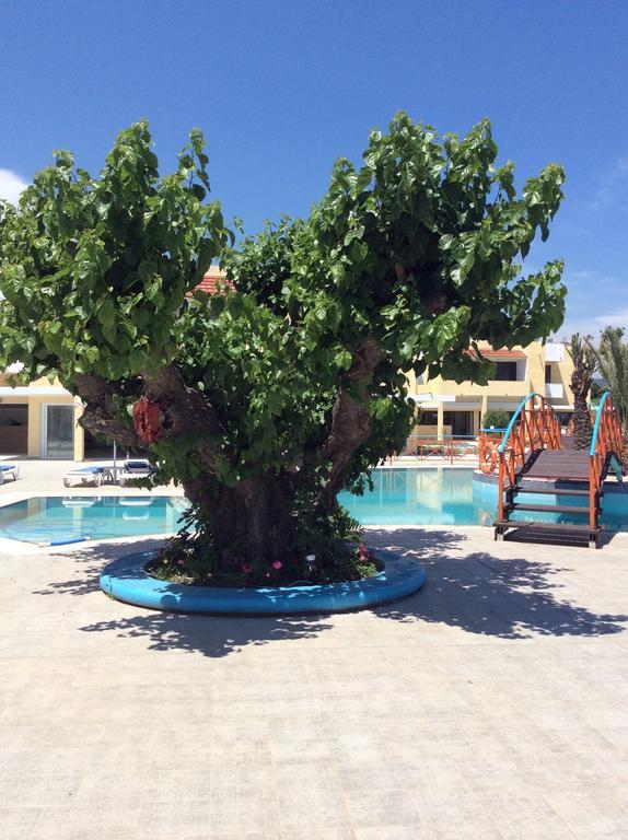 Angelos Beach Hotel Faliraki Zewnętrze zdjęcie